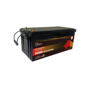 OLALITIO OLA-12-300-P Lithium Battery