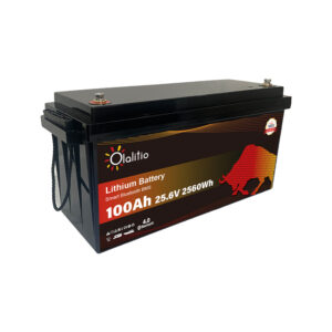 OLALITIO OLA-24-100-P Lithium Battery