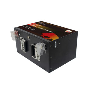 OLALITIO OLA-12-310-MH Lithium Battery