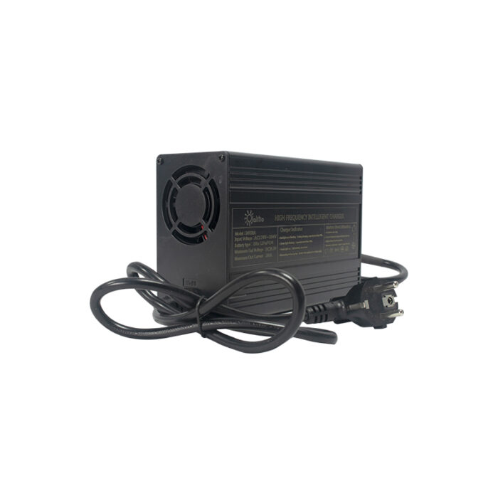 Olalitio OLA-12-20-C Battery Charger
