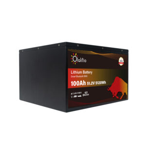OLALITIO OLA-48-100-M Lithium Battery