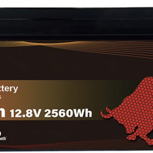 OLALITIO OLA-12-200-PH Lithium battery